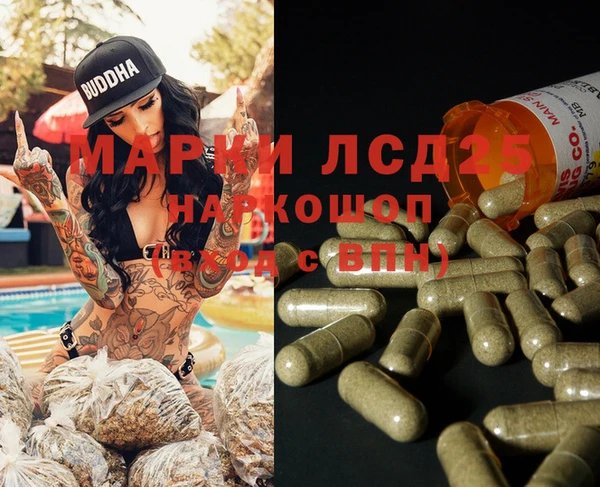 ПСИЛОЦИБИНОВЫЕ ГРИБЫ Белокуриха