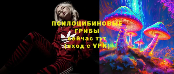 ПСИЛОЦИБИНОВЫЕ ГРИБЫ Белокуриха