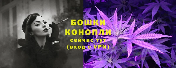 ПСИЛОЦИБИНОВЫЕ ГРИБЫ Белокуриха